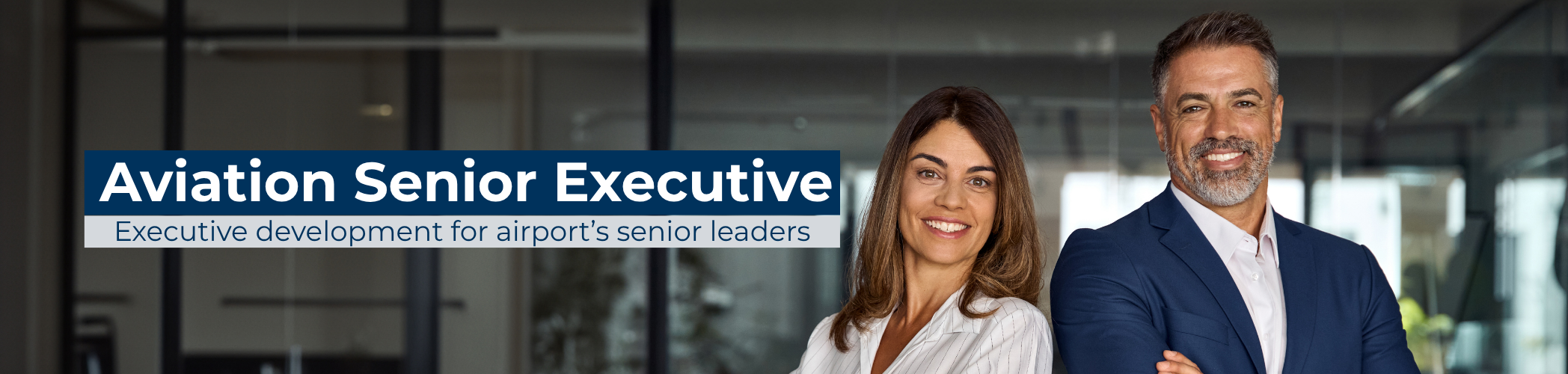 Aviation Senior Executive (1)